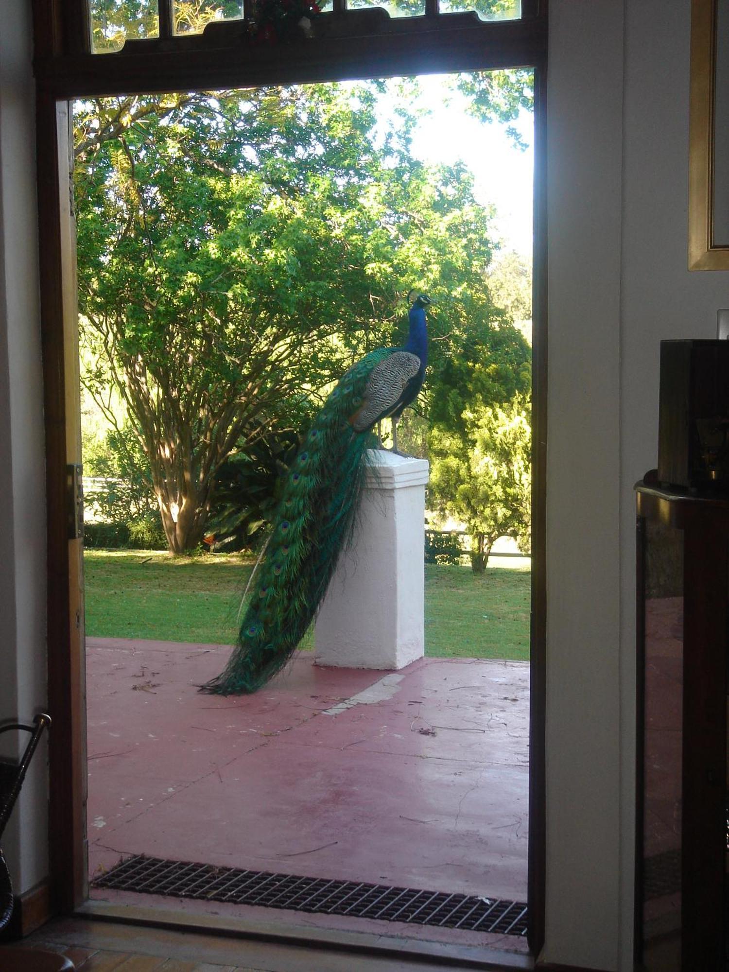 Oude Wellington Estate Hotel Luaran gambar